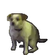 Pixel art dog sitting and looking around