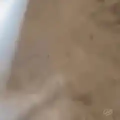 Chicken lays egg then laser eyes
