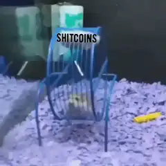 Hamster wheel shitcoins government