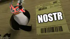 Penguin with mask next to NOSTR package