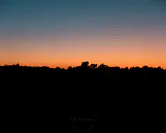 sunset over silhouetted trees