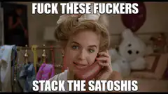 Fuck These Fuckers Stack The Satoshis