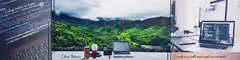 Coding makes me happy nature desk