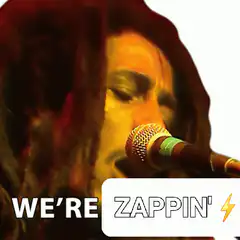 Bob Marley We're Zappin'