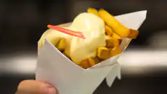 fries with cheese sauce