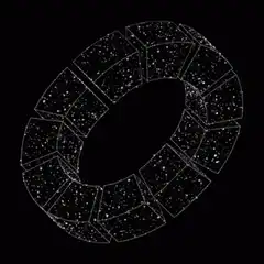 Rotating torus of stars