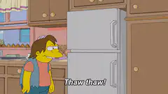 Thaw Thaw Homer