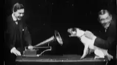 Dog howling at gramophone