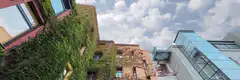 Time-lapse of clouds over green buildings