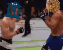 Bitcoin defeats Bank in UFC fight