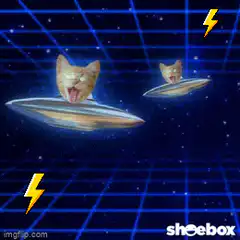 cat ufo laser beam