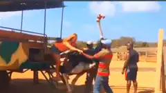 Woman rides an ostrich held by handlers