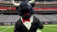 Bama the Bull puts on sunglasses