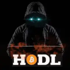 HODL Bitcoin meme with fire