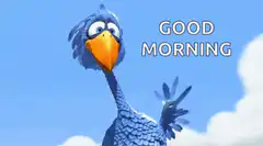 Blue bird saying good morning