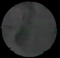 Green night vision scan