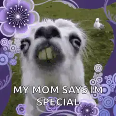 My Mom Says I'm Special Llama