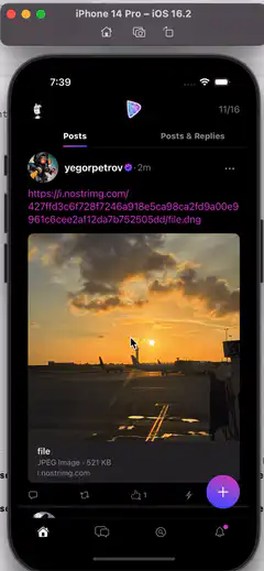 Swift test account post on nostr.build