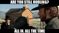 Are You Still Hodling All In All The Time