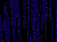 falling purple matrix code