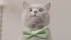 surprised cat with bowtie