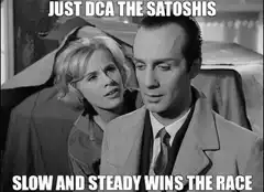 Just DCA the Satoshis Slow and Steady