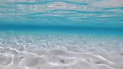 Underwater view of sandy ocean floor