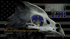 Shadow FJB eagle skull with stars