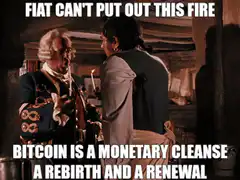 Fiat Can't Put Out This Fire Bitcoin Meme