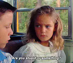 Are you stupid or something?