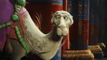 Camel looks around nervously