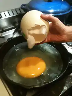 giant ostrich egg frying in pan