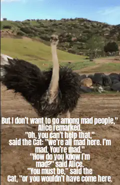 Ostrich dance with Alice in Wonderland quote