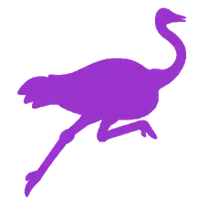 Purple ostrich running