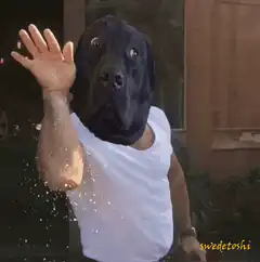 Man with dog head waving