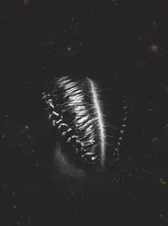 glowing ring in space