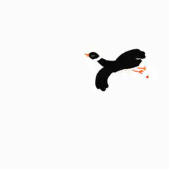 flying ducks with hearts