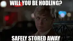 Will You Be Hodling Safely Stored Away