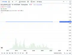 BTCUSD 1M chart with horizontal line