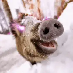 pig with glowing heart ears in snow