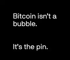 Bitcoin isn't a bubble It's the pin