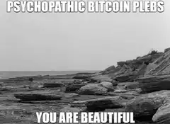 You Are Beautiful Psychopathic Bitcoin Plebs