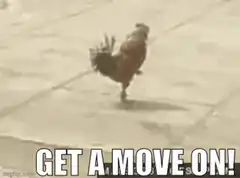 Rooster Get A Move On