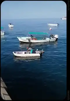 Man catches large fish on boat