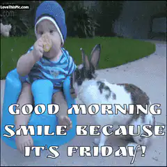 Baby and Rabbit Good Morning Friday