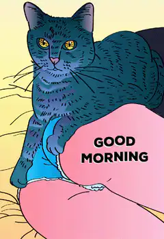 Cat sitting on pink pillow saying good morning