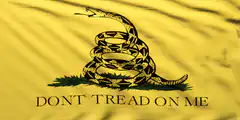Gadsden Flag waving