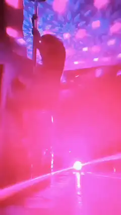 Pole dancer with bitcoin and zap mining text