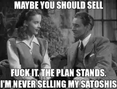 Maybe You Should Sell Fuck It The Plan Stands