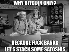 Why Bitcoin Only Because Fuck Banks